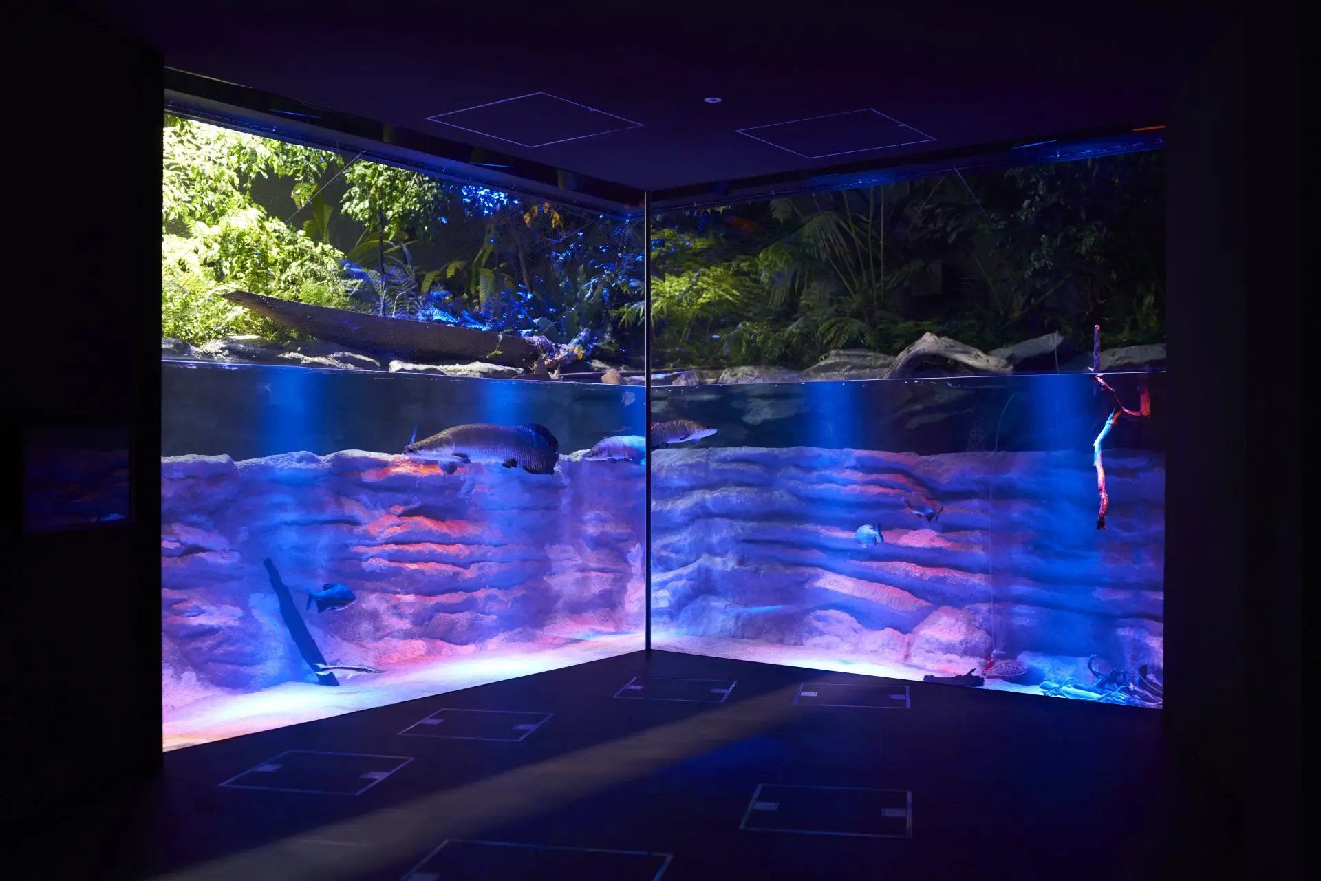 🐠 카와스이 가와사키 수족관 이미지 5